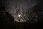 A11 : La Lune au milieu de pruniers en pleine floraison, prise après un filé d'étoiles réalisé au même endroit (vers la fin de la série). Le 2 avril 2021, Sony NEX-5N, 18 mm, f/3.5, 800 ISO,