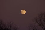 B07 : La pleine Lune de décembre peu de temps après son lever, la plus petite de cette année 2021. Nikon D40, 300mm, f/4, 200 ISO, 4 x 1/60s + 4 x 1/100s.