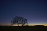 B01 : Trois planètes au crépuscule, une rocheuse et deux gazeuses. Jupiter se trouve (au premier coup d’œil) à l’aplomb des deux noyers, et se situent juste à droite de ces derniers Saturne et Mercure dans les lueurs finales du jour qui s’achève. Le 11 janvier 2022, Sony NEX-5N, 18mm, f/3.5, 5 x 10s à 100 ISO empilées avec Sequator en mode Binning + 5 x 10s à 800 ISO. : 