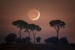 D01 : Jolie Lune cendrée avec son croissant illuminé à 5 %. Le 6 août 2024 à  Morón de la Frontera, </br>dans les environs de Séville en Espagne, EOS 5D IV, 600mm, f/6.3, 400 ISO, 2s.