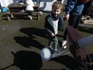 astronome en herbe ?